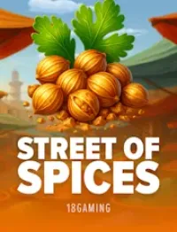 street of spices game logo
